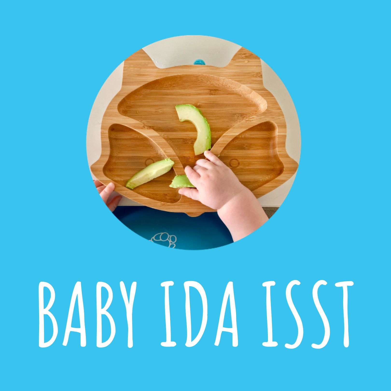 Logo Baby Ida isst und Babyhände greifen Beikost